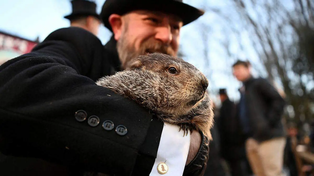 Phil predice más invierno en EU durante celebración del Día de la Marmota